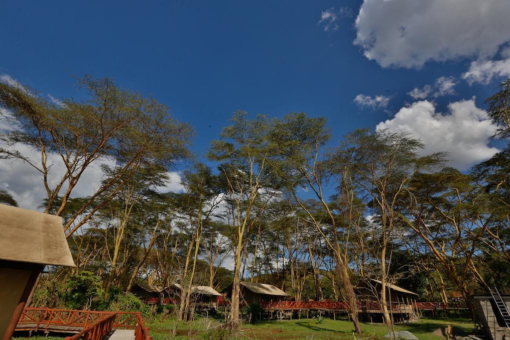 Kiboko Luxury Camp Hotel ไนวาชา ภายนอก รูปภาพ